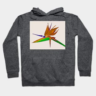 Tropical Bird Of Paradise Watercolor Hoodie